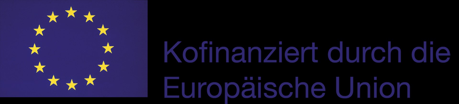 Das Bild zeigt das Logo der EU, ein goldener Sternenkranz auf blauem Hintergrund. Daneben stehen die Wörter Kofinanziert durch die Europäische Union. 